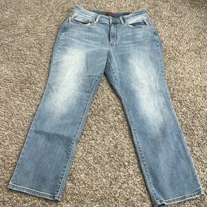 Plus size Judy Blue jeans